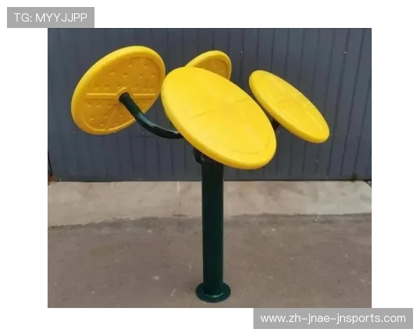 室外健身器材有哪些常见种类与选择